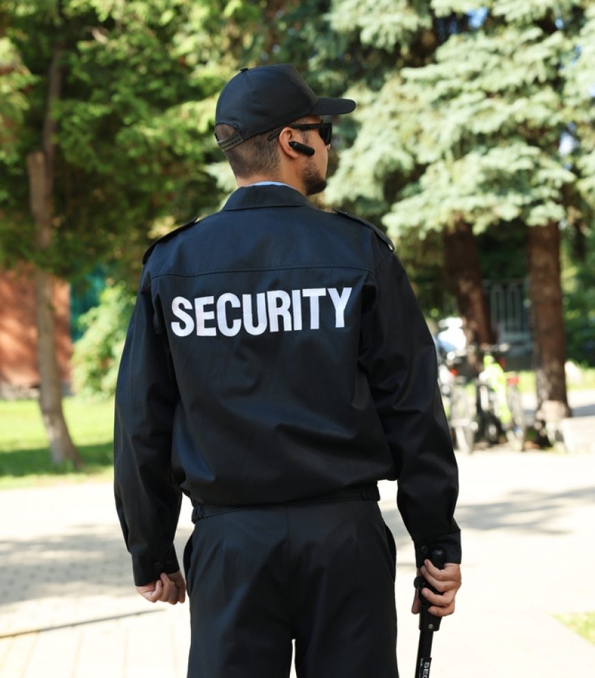 Professionelle Security